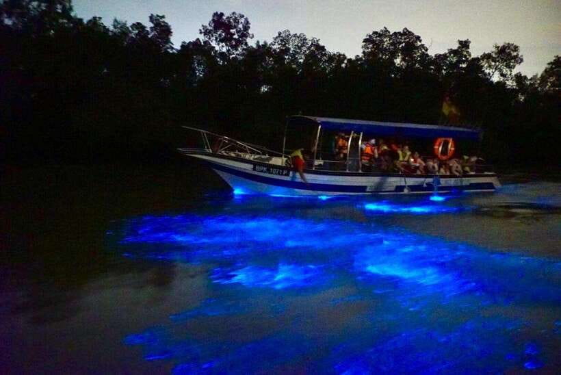 Kuala Lumpur: Kuala Selangor Fireflies and Blue Tears Tour - Seafood by the river at sunset