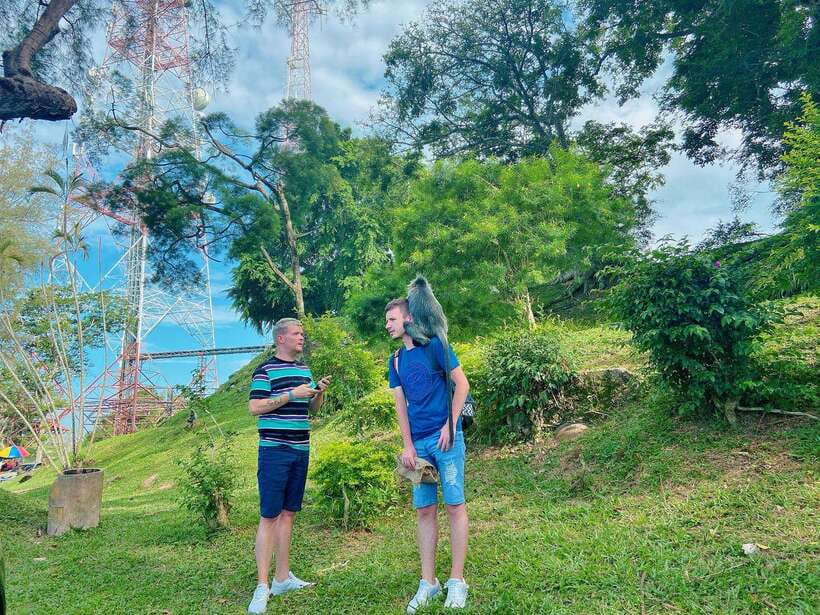 Kuala Lumpur: Kuala Selangor Fireflies and Blue Tears Tour - Searching for the Blue Tears