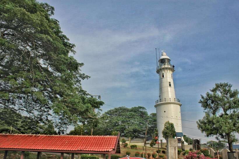 Kuala Lumpur: Kuala Selangor Fireflies and Blue Tears Tour - Who will enjoy this evening most