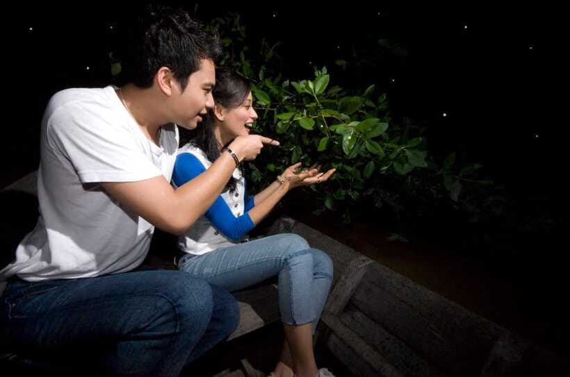 Kuala Lumpur: Kuala Selangor Firefly Tour and Dinner - A local seafood dinner near Bukit Melawati