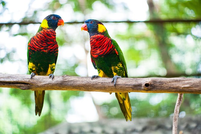 Kuala Lumpur Private Half-Day Family Tour of Nature, Birds and Butterflies - Start among the plants at Perdana Botanical Garden