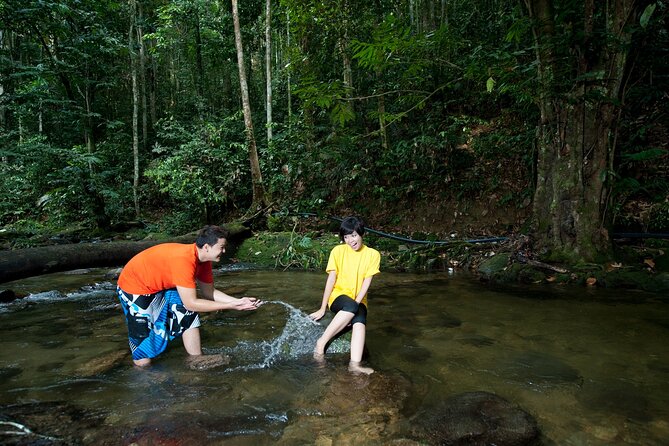 Kuala Lumpur Private Tour to Batu Caves Hotsprings And Waterfalls - Selayang Hot Spring: useful, but keep expectations modest