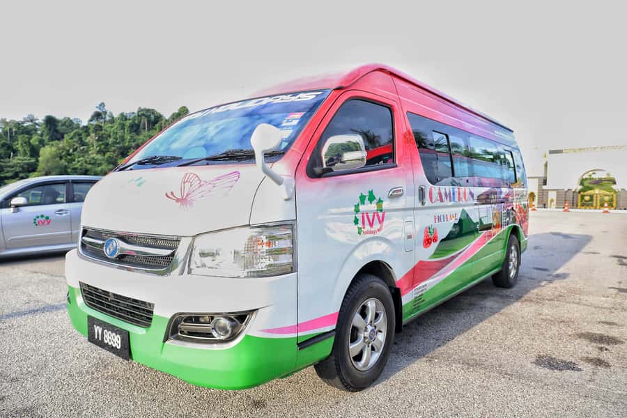 Kuala Lumpur: Sightseeing by Private Vehicle with Driver - Comfort, vehicle size, and access