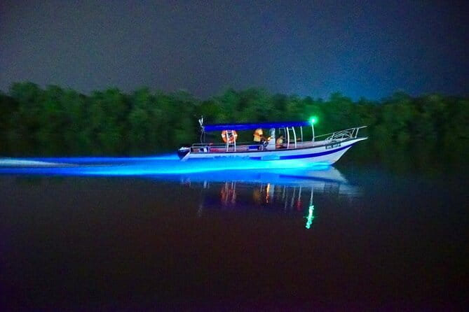 Kuala Selangor Fireflies and Blue Tears Tour with Dinner (SIC) - A relaxed seafood dinner by the river