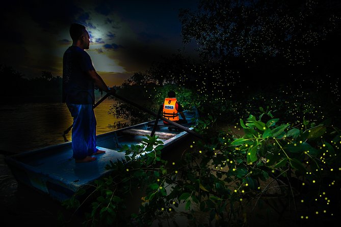Kuala Selangor Fireflies - Batu Caves Temple- Malawati Hill DayTour With Dinner - The Kampung Kuantan firefly boat ride