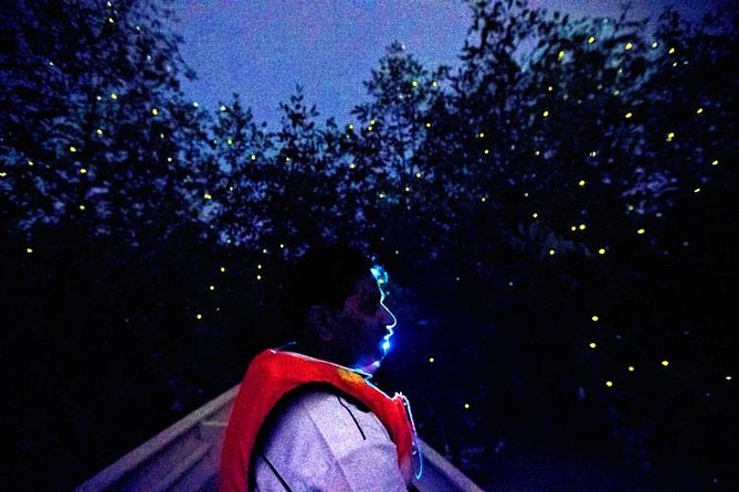 Kuala Selangor Fireflies Evening River Cruise from Kuala Lumpur - The Long Road From Kuala Lumpur to the River
