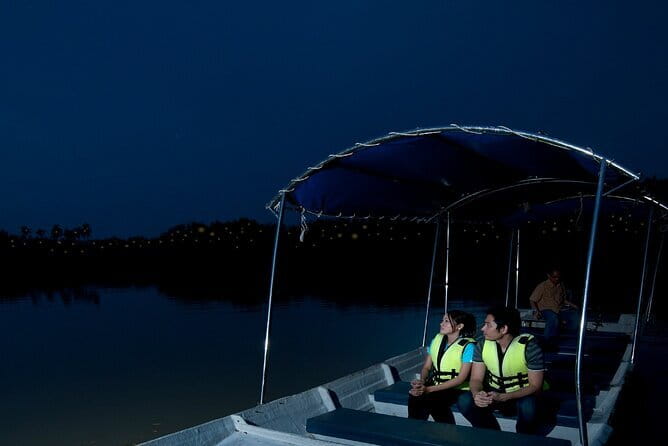 Kuala Selangor Firefly Blinkings Private Tour with Seafood Dinner - Fireflies blinking along the Selangor River