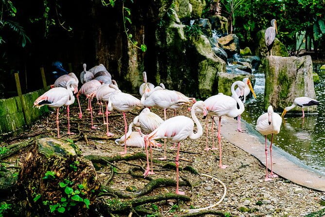 Kuala Selangor Sky Mirror Experience – Natural Mirror Beach Tour - Booking, meeting point, and cancellation details