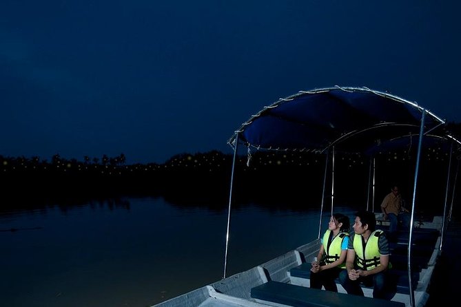 Kuala Selangor Tour from Kuala Lumpur with Fireflies Boat Ride and Seafood Dinner - Why the fireflies make the long evening worthwhile