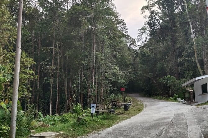 Kubah's Nocturnal Wonders Nighttime Frog Safari - Two hours on Kubah’s night trails