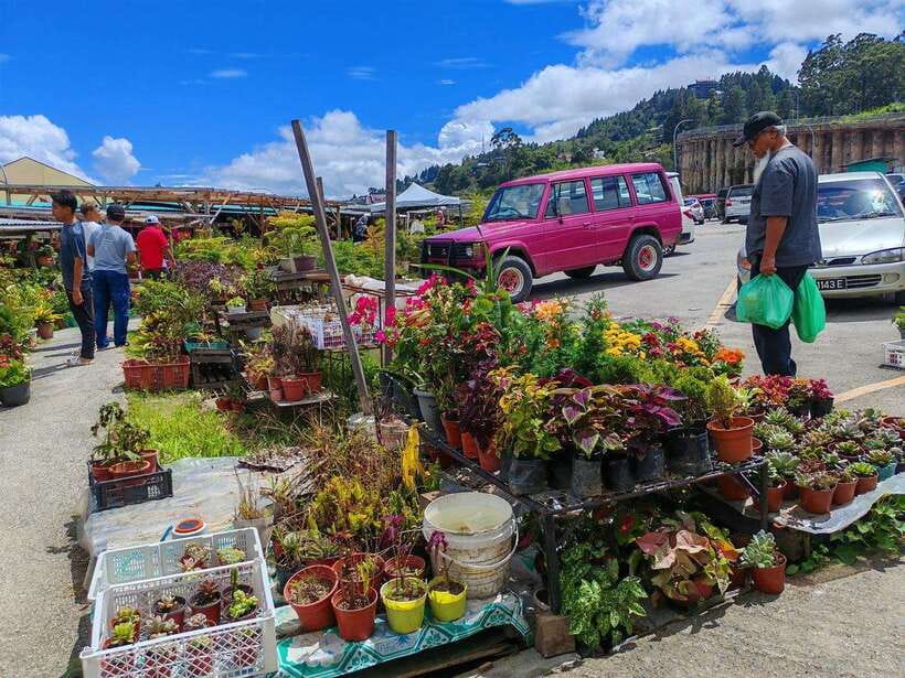 Kundasang : ATV Ride, Dairy Farm Visit & Meal Shared Tour - Safety first at the Ranau ATV Base Camp
