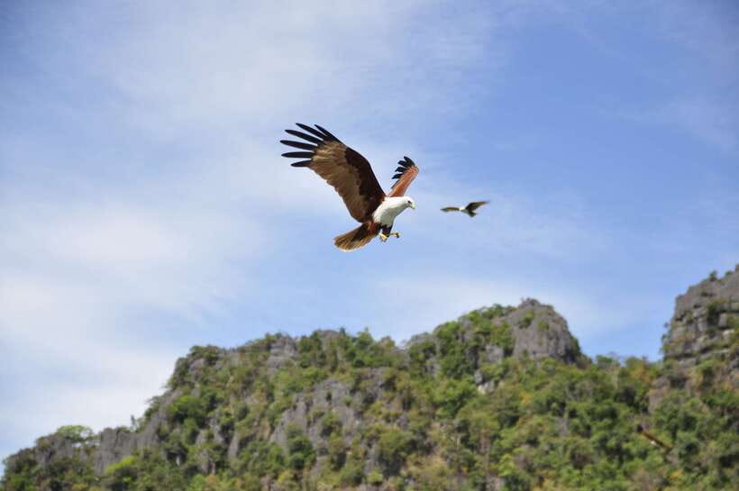 Langkawi: 6-Hour Private Island Highlights Tour - Choosing between the Sky Bridge and a slower island day