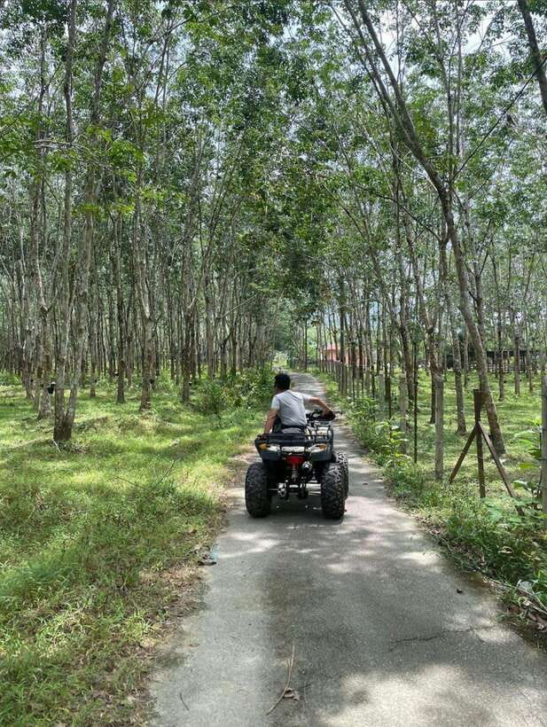 Langkawi:ATV Ride at Matchinchang Mountain Foothill - Rubber trees, farms, and village life