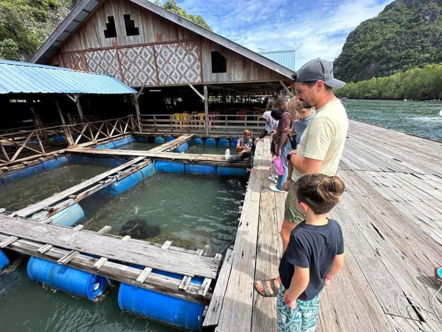 Langkawi: Boat Tour to Magic Island & Mangrove Cruise - Cruising the calm Kilim River