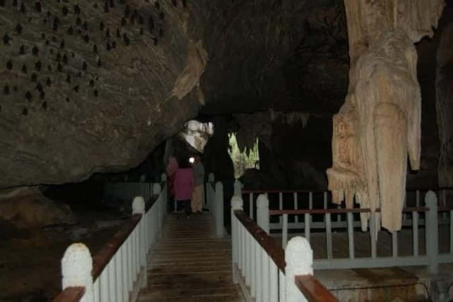 Langkawi: Boat Tour to Magic Island & Mangrove Cruise - Finding Sevensea Adventure at Checkpoint 2