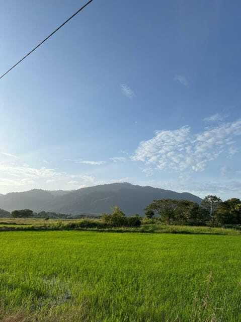 Langkawi: Countryside Bike Tour, Waterfall Swim & Dessert - Sweets, coffee, and tea beside the river