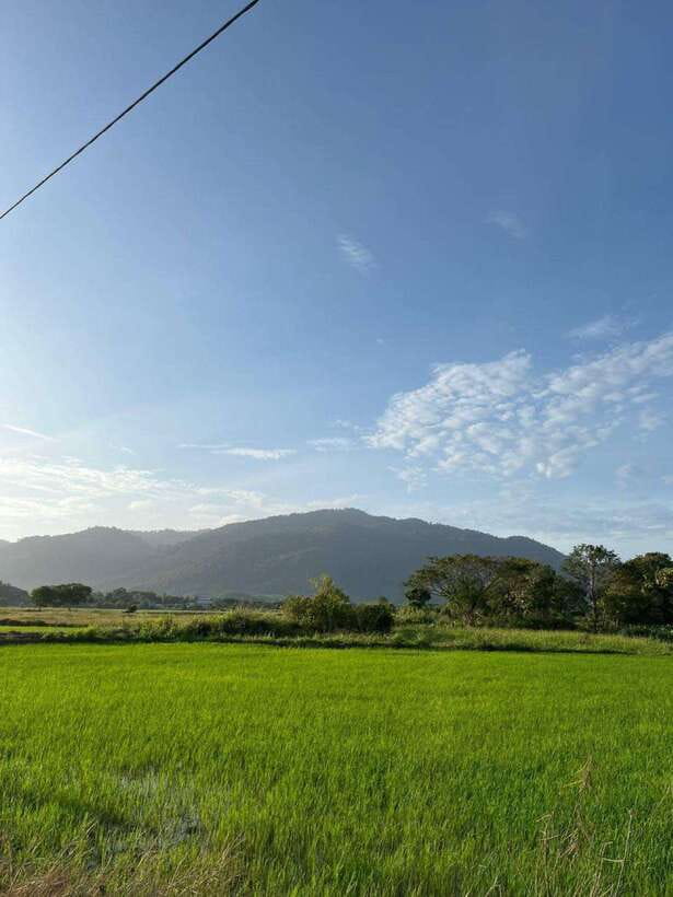 Langkawi: Countryside Bike Tour, Waterfall Swim & Dessert - Starting near JungleWalla’s office