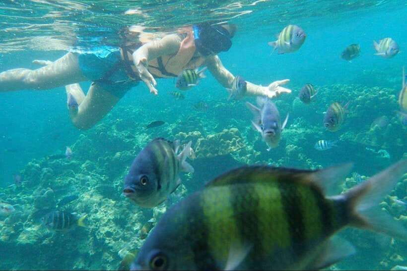 Langkawi: Dangli Island Snorkel and Swim Speedboat Tour - Pantai Pasir Panjang and the second hour in the water