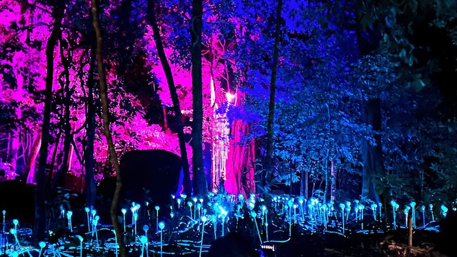 Langkawi: Dream Forest Langkawi Standard Admission Ticket - Access, pacing, and who should go