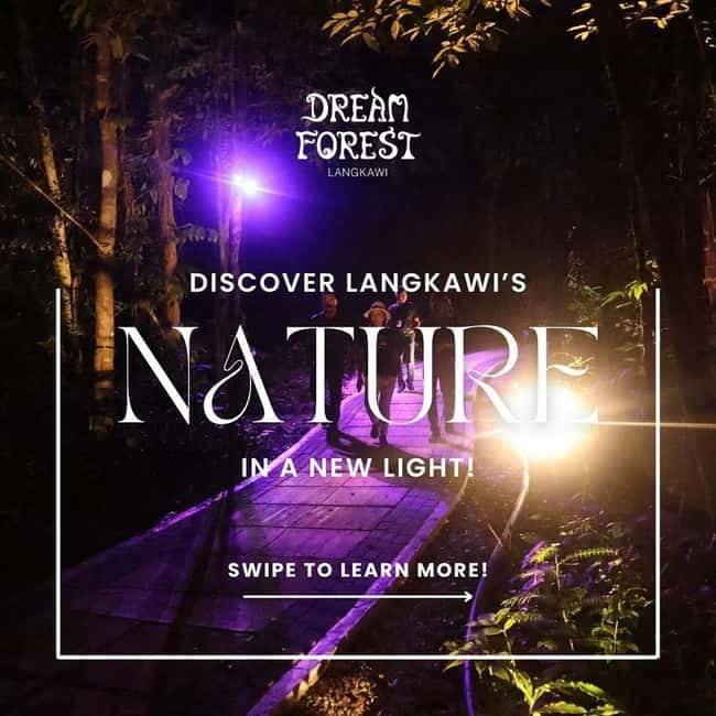 Langkawi: Dream Forest Langkawi Standard Admission Ticket - What happens after you enter