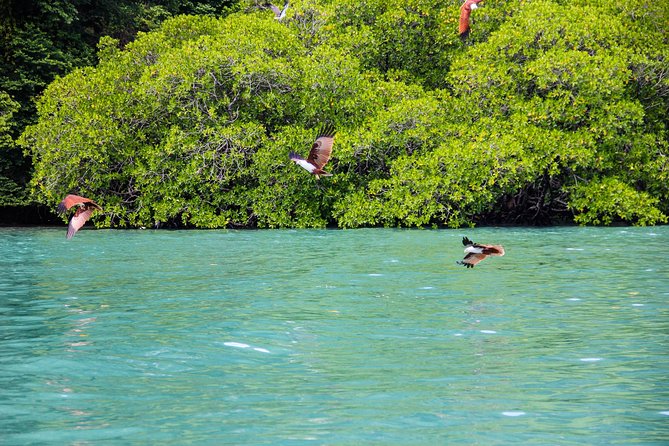 Langkawi Half Day Island Hoping Tour- Sharing basis - The $59 price and what you receive