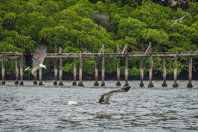 Langkawi Half Day Island Hoping Tour- Sharing basis - Practical tips for a smoother morning