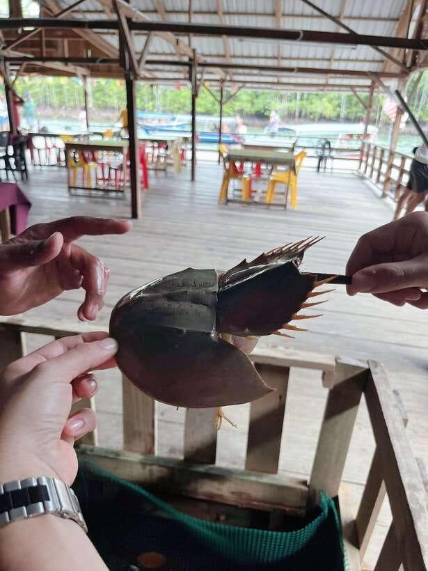 Langkawi: Half-Day Private Kilim River Mangrove Boat Tour - The fish farm and floating restaurant