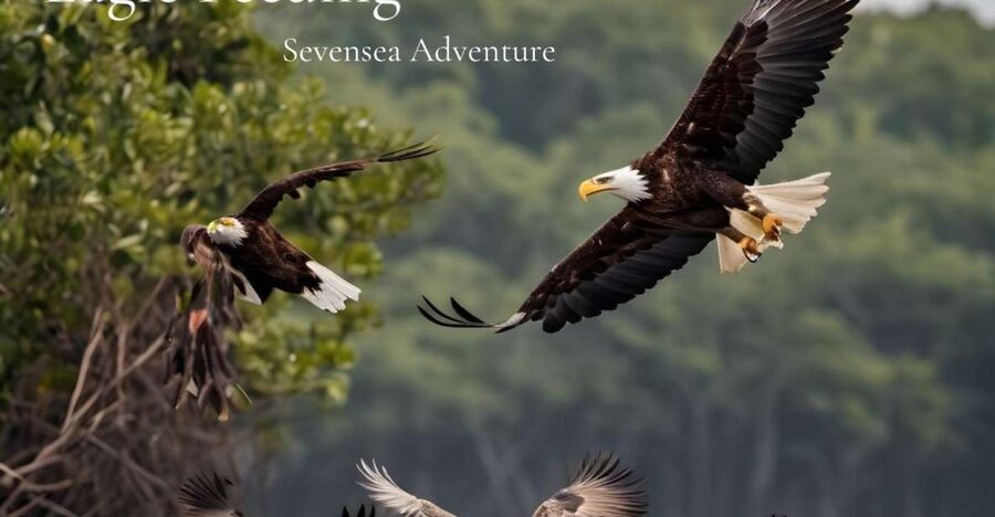 Langkawi: Half-Day Private Kilim River Mangrove Boat Tour - Open water, Shoes Island, and Andaman Sea views