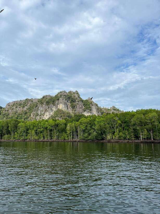Langkawi: Half-Day Private Kilim River Mangrove Boat Tour - Starting at Checkpoint 2 and entering the mangroves