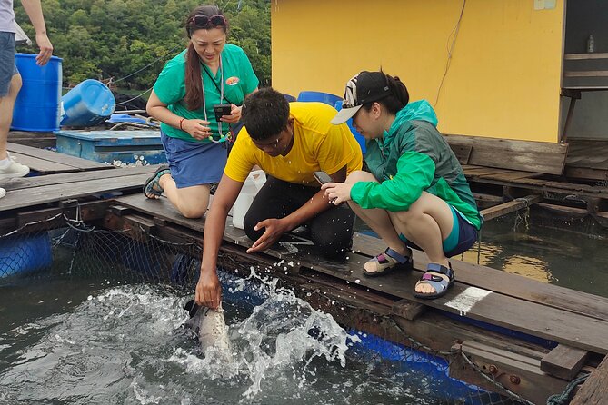 Langkawi Highlights Day Tour - ATV, Mangrove Cruise & Cable Car - One day, four sides of Langkawi