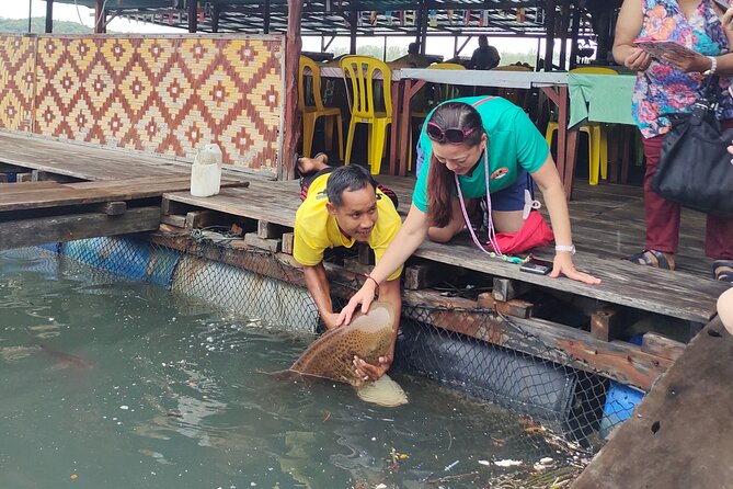 Langkawi Highlights Day Tour - ATV, Mangrove Cruise & Cable Car - Noon on the Kilim mangrove waterways