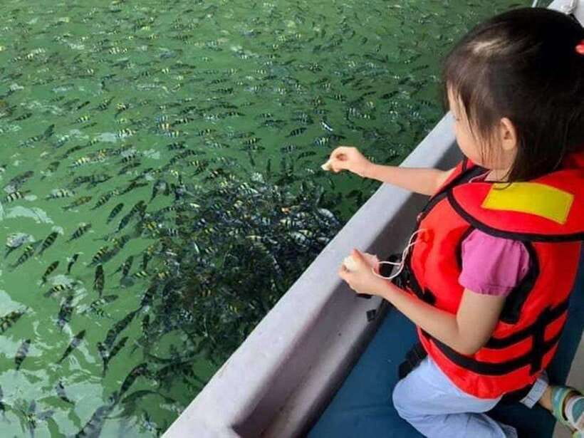 Langkawi Island: Hopping 5 in 1 Grand Tour - What the five-hour schedule feels like