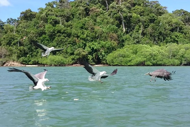 Langkawi Island Hopping Boat Tour with Return Transfer - The eagle stop is brief but memorable