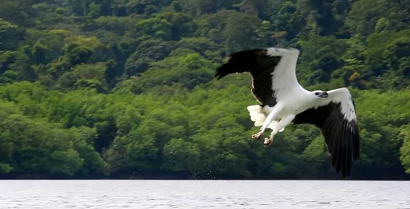 Langkawi: Island Hopping Shared or Private Boat Options - Who will enjoy this island hopping trip?