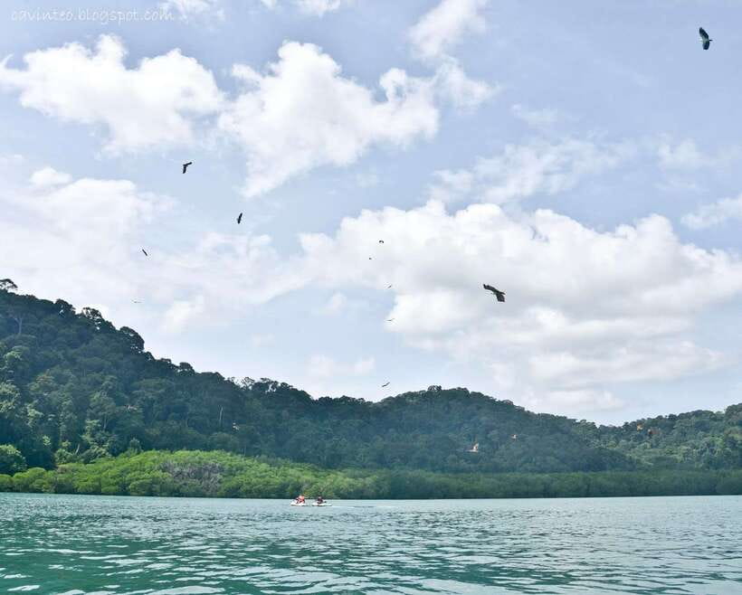 Langkawi: Island Hopping Tour - The boat ride and the level of service