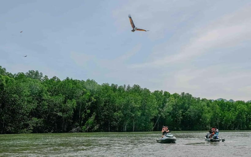 Langkawi: Jet Ski Tour UNESCO Kilim Geopark Free Video - Monkey watching, with one small caution