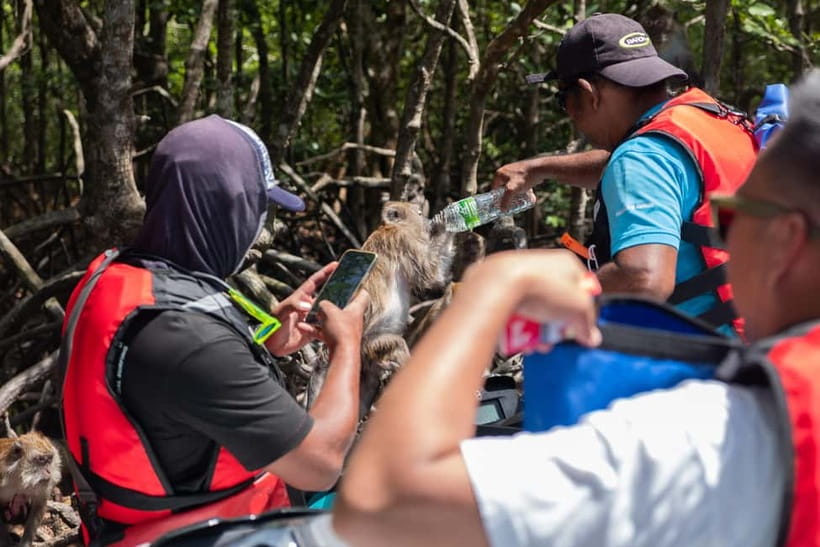 Langkawi: Jet Ski Tour UNESCO Kilim Geopark Free Video - Kilim Geopark views and Gorilla Mountain