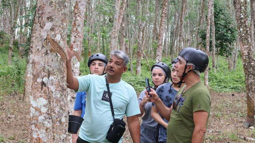 Langkawi Jungle and Waterfall Adventure - Starting near Panda Vapor in Langkawi