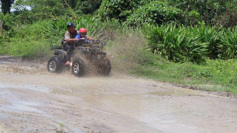 Langkawi Jungle and Waterfall Adventure - Rubber plantations and Langkawi’s rural character