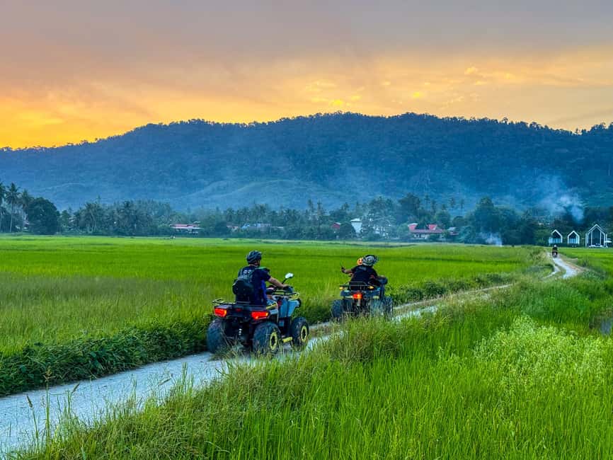 Langkawi Jungle and Waterfall Adventure (Golden Hour) - Paddy fields, farmland, and the reservoir splash