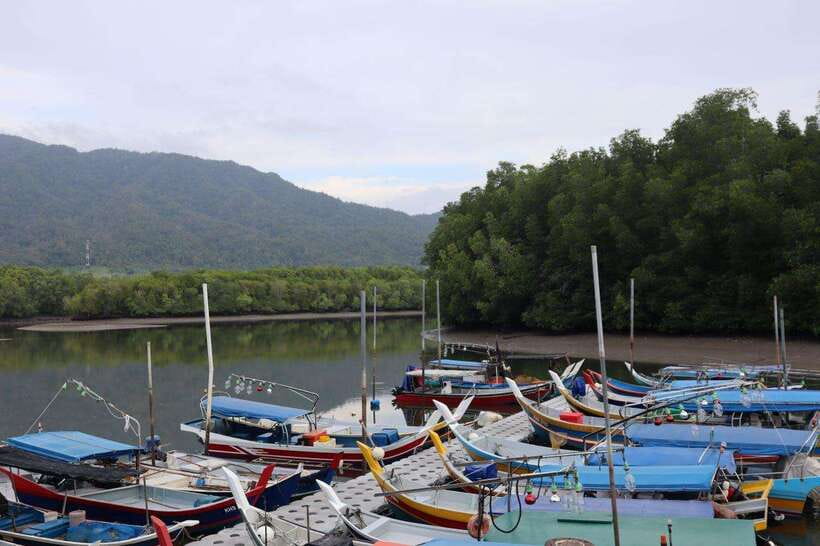Langkawi: Kayaking Adventure and Swimming - Why Kubang Badak is a smart kayaking choice