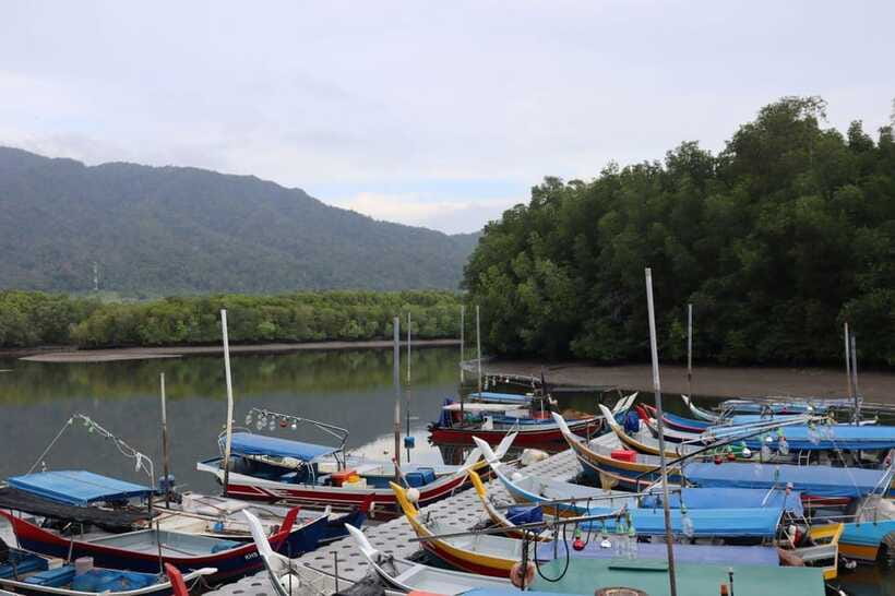 Langkawi: Kayaking Adventure and Swimming - Who will enjoy this trip most