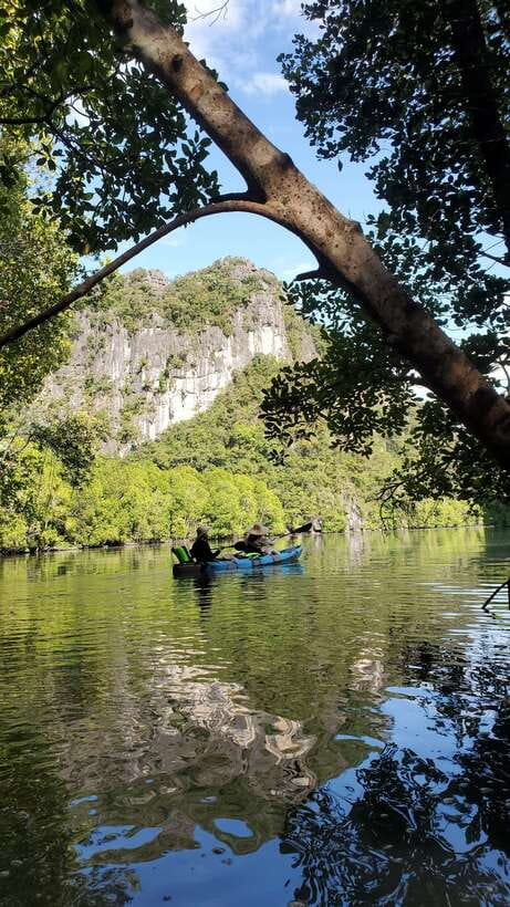 Langkawi : Kilim Geoforest Mangrove Kayak Tour with Lunch - Why this half-day outing earns its place in Langkawi