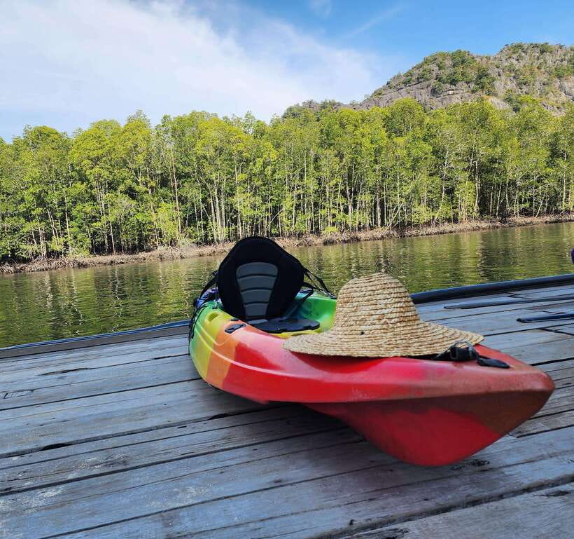 Langkawi : Kilim Geoforest Mangrove Kayak Tour with Lunch - Eagle watching without feeding the animals