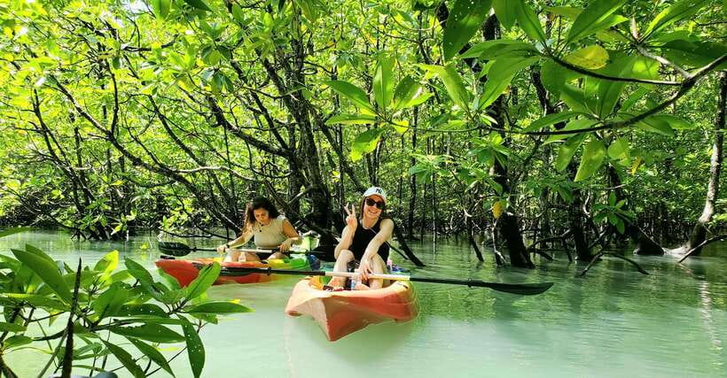 Langkawi : Kilim Geoforest Mangrove Kayak Tour with Lunch - The small creatures that make the forest interesting