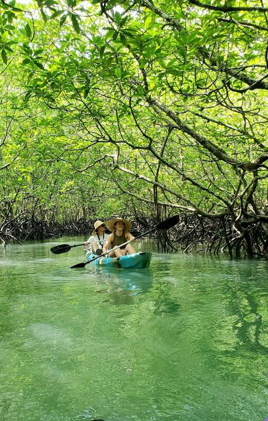 Langkawi : Kilim Geoforest Mangrove Kayak Tour with Lunch - Optional bat cave and other extras