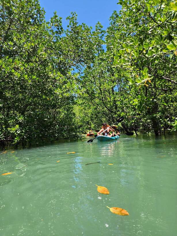 Langkawi : Kilim Geoforest Mangrove Kayak Tour with Lunch - Lunch on the water