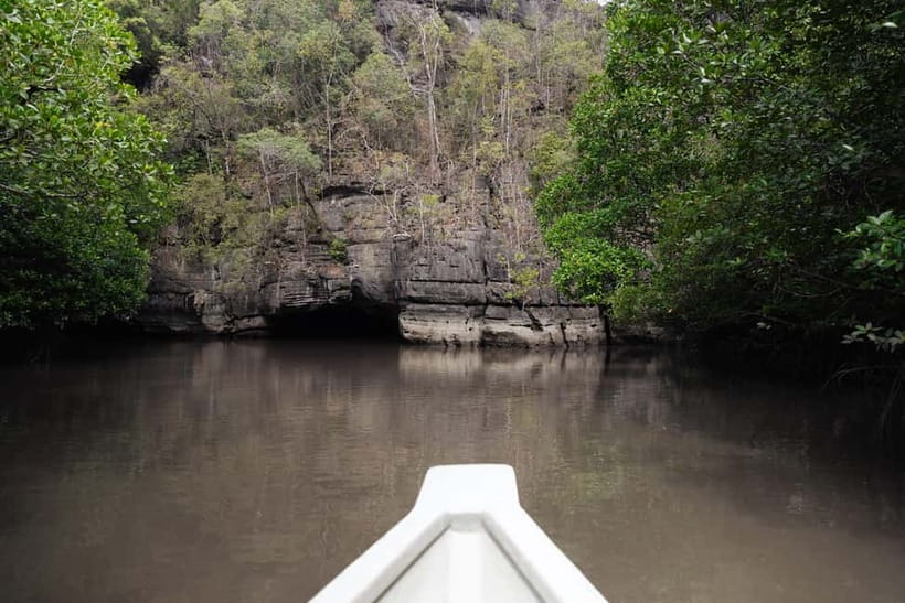 Langkawi: Kilim Geopark Mangrove Tour with Eagle Watching - Eagle watching over Kilim’s waterways