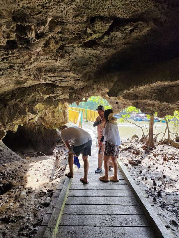 Langkawi : Kilim Mangrove Boat & Fun Kayak Tour with Lunch - Key points at a glance