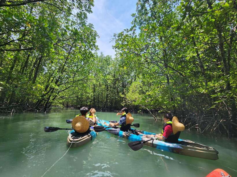 Langkawi : Kilim Mangrove Boat & Fun Kayak Tour with Lunch - The mangrove boat cruise